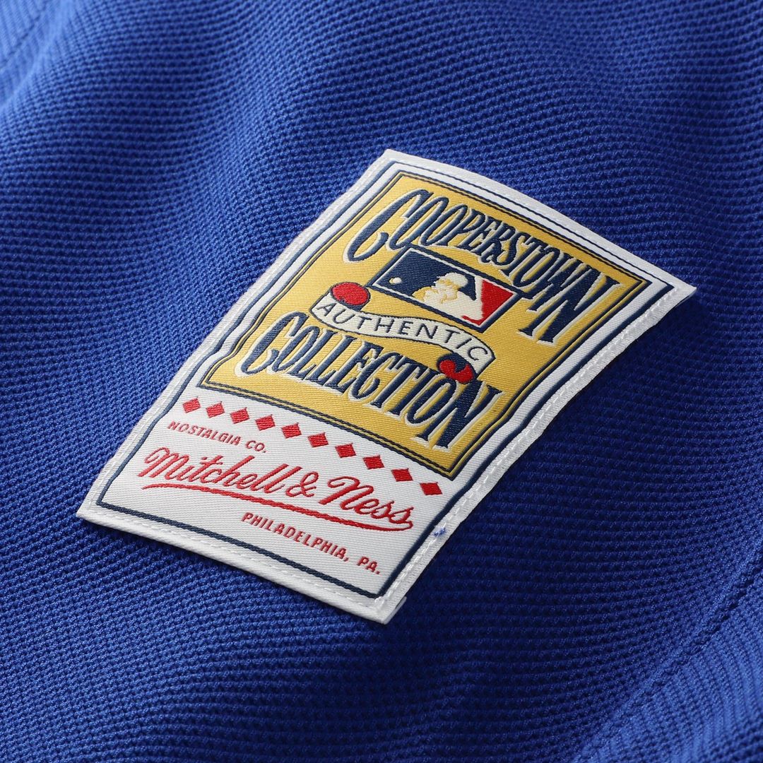 Los Angeles Dodgers Mitchell & Ness Royal MLB Jersey
