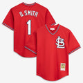 St. Louis Cardinals Mitchell & Ness Authentic MLB Jersey