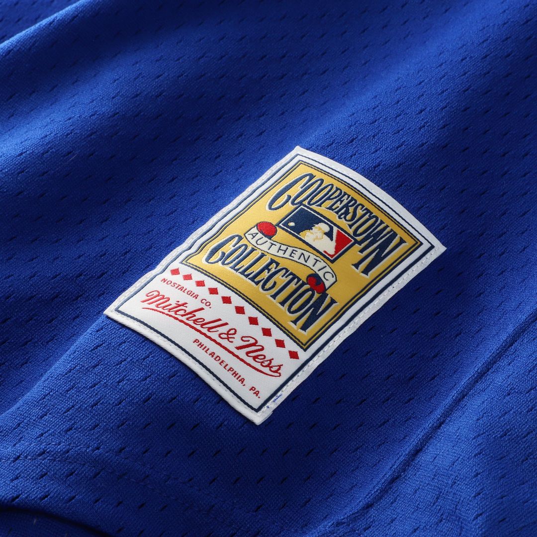 Atlanta Braves Mitchell & Ness Royal Authentic MLB Jersey