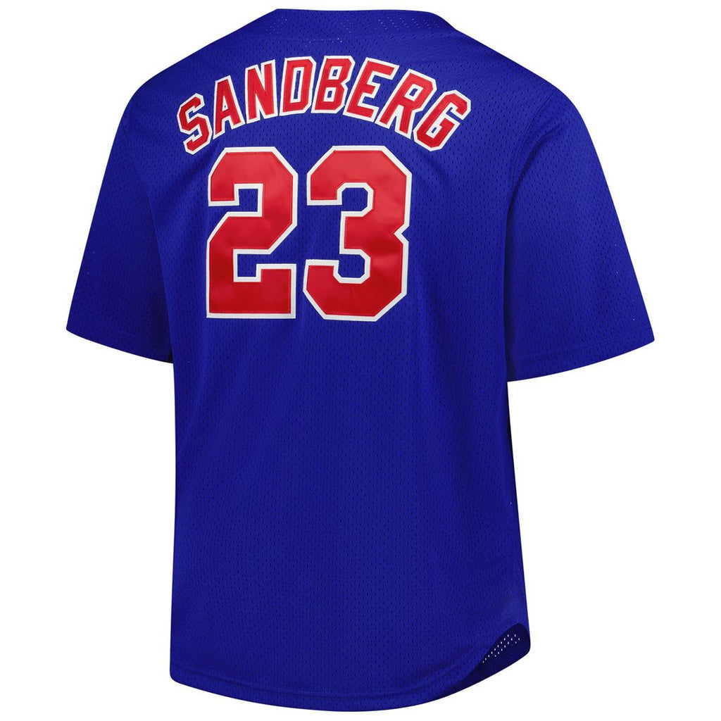 Chicago Cubs Mitchell & Ness Royal Authentic MLB Jersey