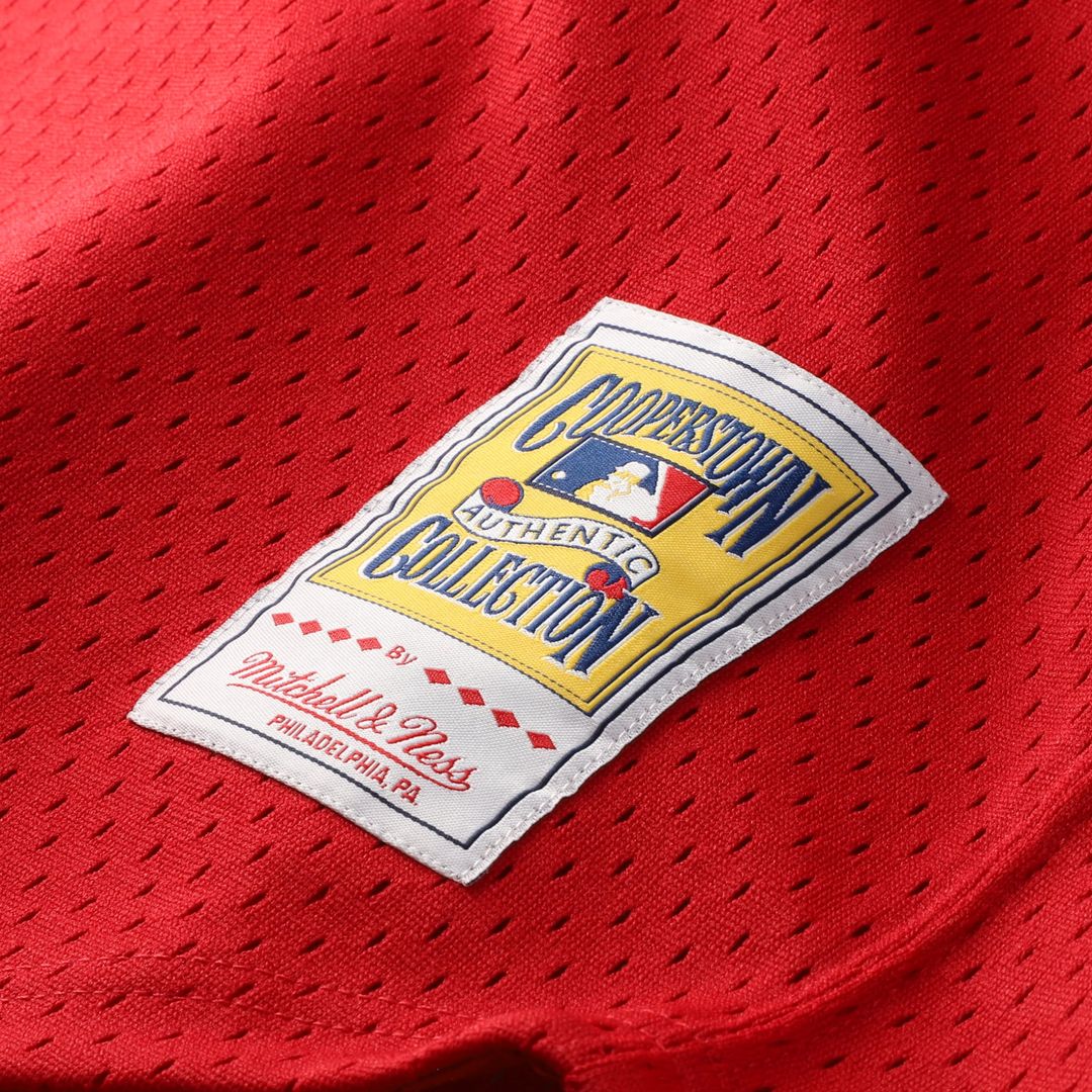 Montreal Expos Mitchell & Ness Authentic MLB Jersey