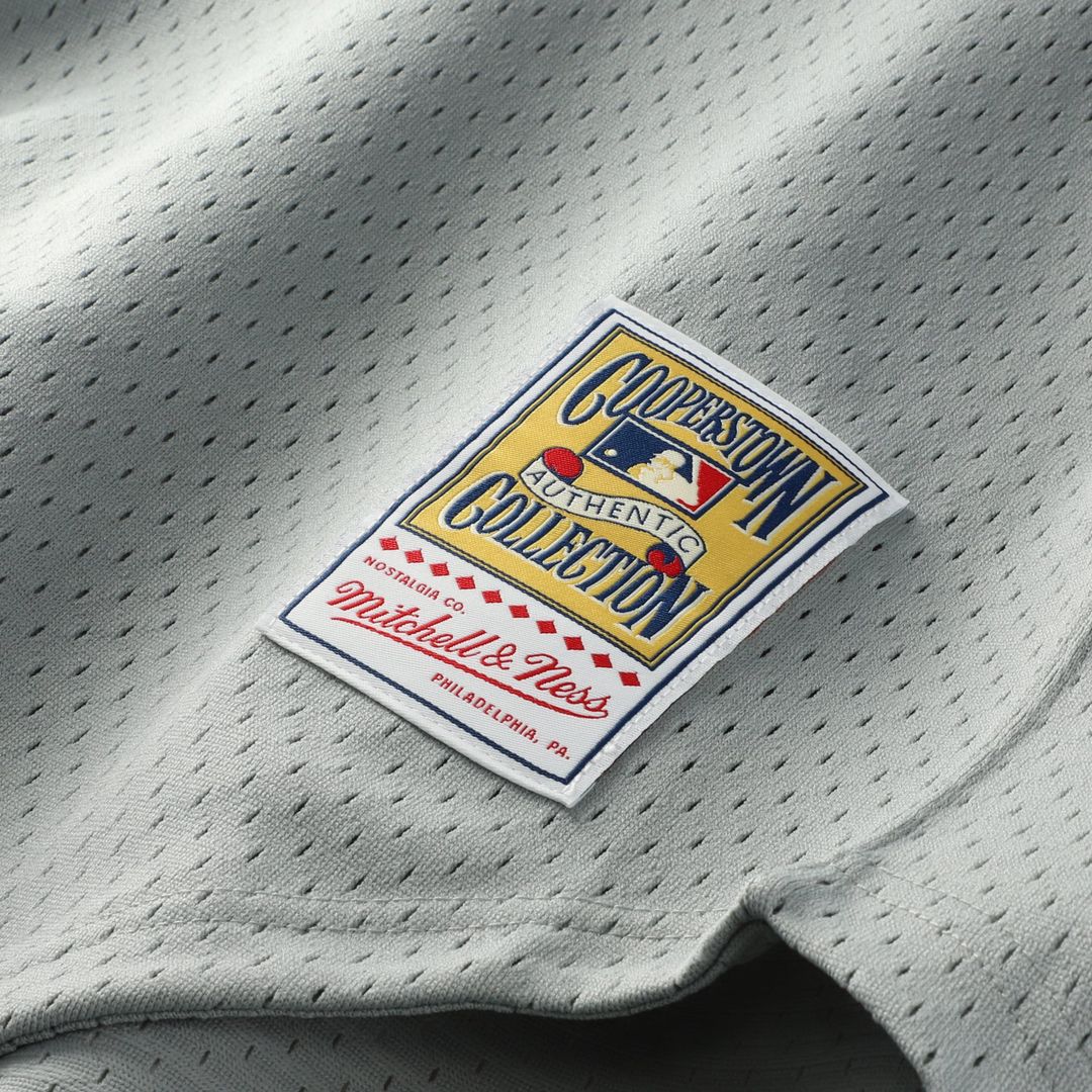 San Francisco Giants Mitchell & Ness Gray Authentic MLB Jersey